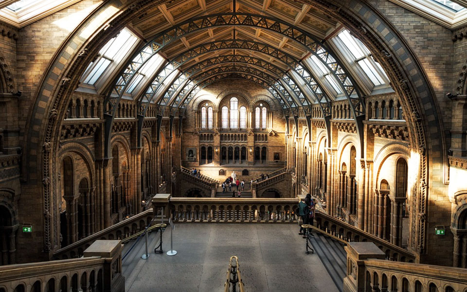 Groupes & Events – AGIS BT